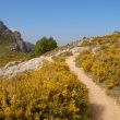 Sendero de montaña en la Serra de Bèrnia, Alicante