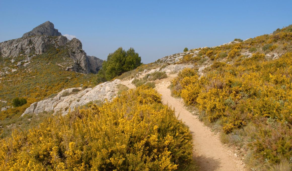 Sendero de montaña en la Serra de Bèrnia, Alicante